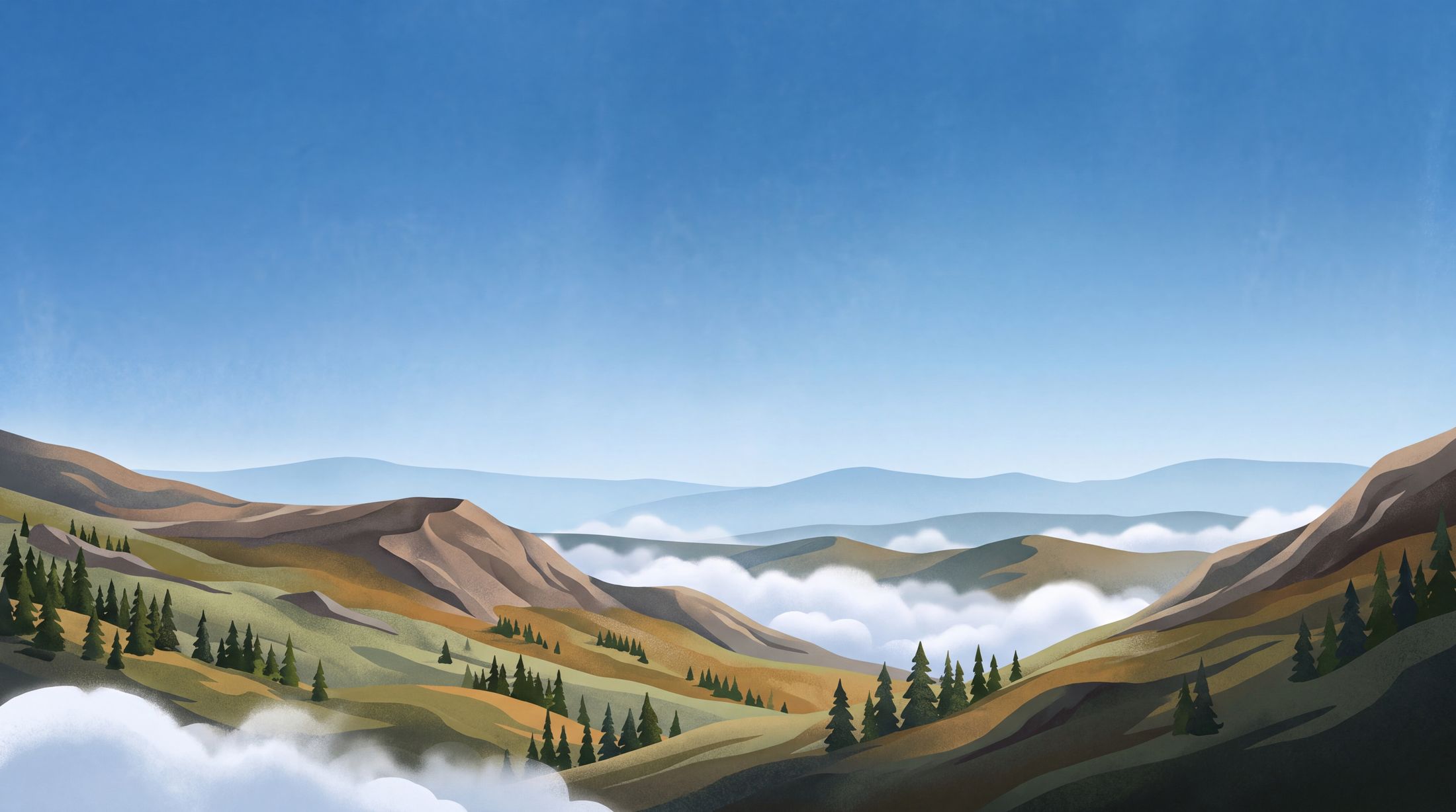 Mountain valley with spruce forest above a sea of clouds